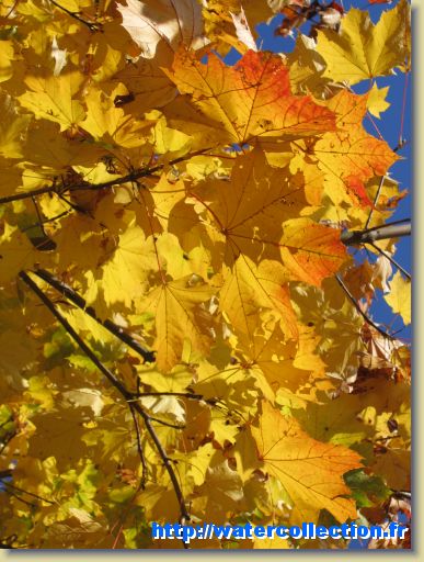 Diapositive suivante